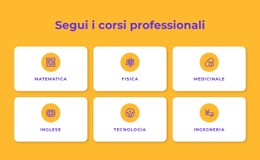 Programmi Di Certificazione Professionale Modello A Pagina Singola