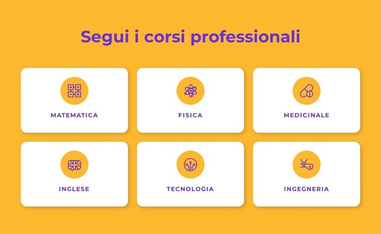 Programmi di certificazione professionale Modello