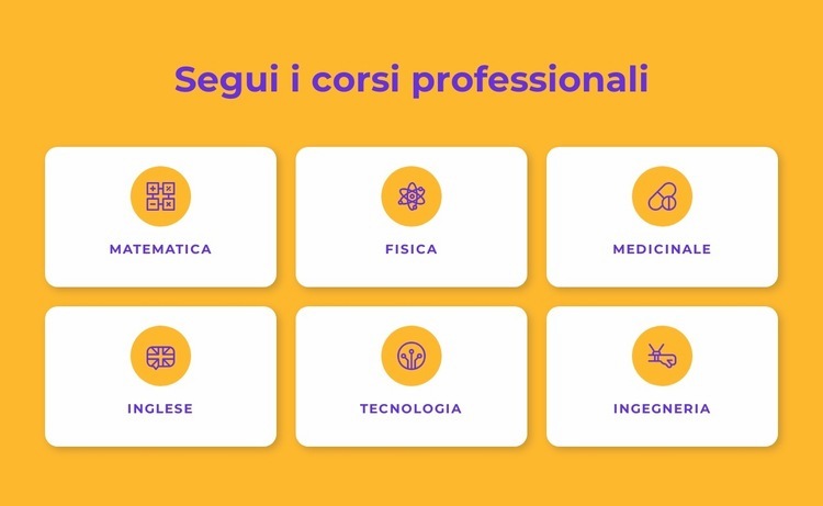 Programmi di certificazione professionale Un modello di pagina