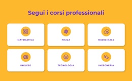 Programmi Di Certificazione Professionale - Funzionalità Tema WordPress