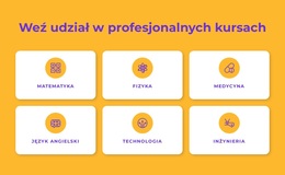 Programy Certyfikatów Zawodowych - Funkcjonalność Motywu WordPress