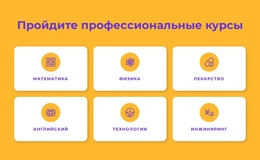 Программы Профессиональных Сертификатов — Функциональность Темы WordPress