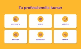 Professionella Certifikatprogram Ensidig Mall