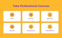 Professional Certificate Programs Product For Users