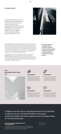Konsulttjänster - Bästa Designen Av Webbplatsmall