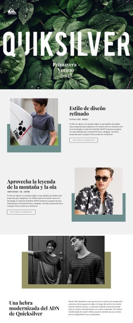 Creador De Sitios Web Exclusivo Para Quiksilver