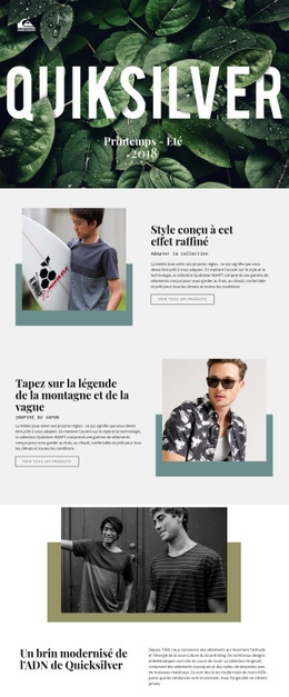 Quiksilver - Prototype De Site Web