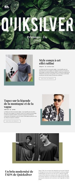 Quiksilver Modèle CSS À Télécharger Gratuitement