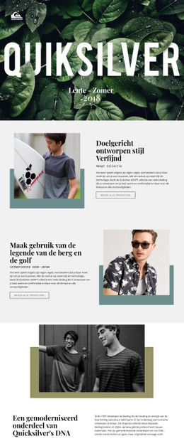 Quiksilver - Multifunctioneel Webontwerp