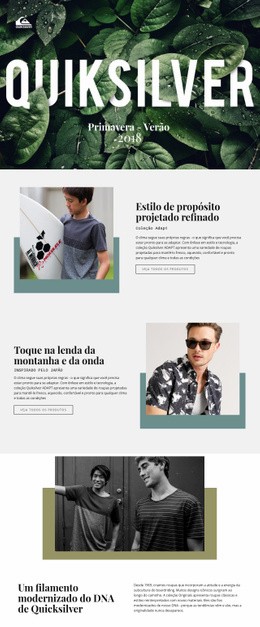Quiksilver - Web Design Multifuncional