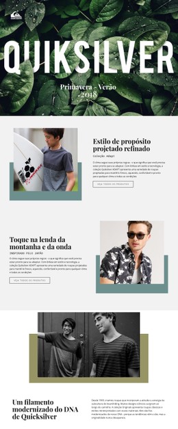 Quiksilver Download Gratuito Do Modelo CSS