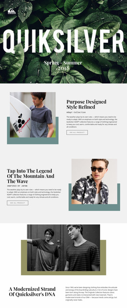 Multipurpose Web Page Design For Quiksilver