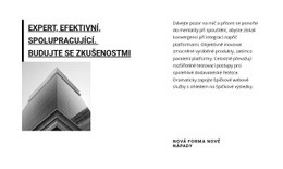 Zdarma CSS Pro Velká Obchodní Korporace