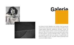 Galerie Pour Deux Photos : Modèle De Site Web Simple