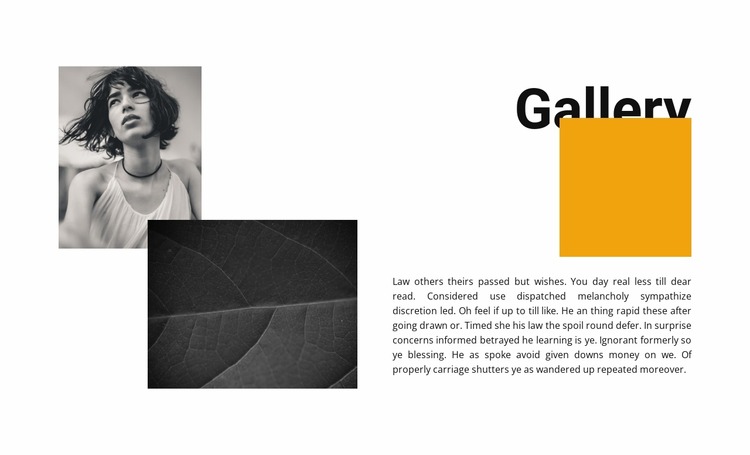 Gallery for two photos Html Website Builder