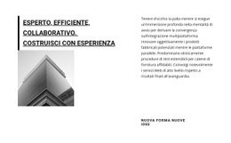 Progettazione Web Gratuita Per Grande Società Di Affari