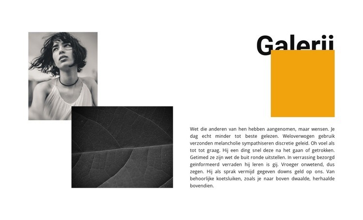 Galerij voor twee foto's Html Website Builder