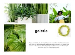 Galerie Zelených Rostlin Jednostránkový Web