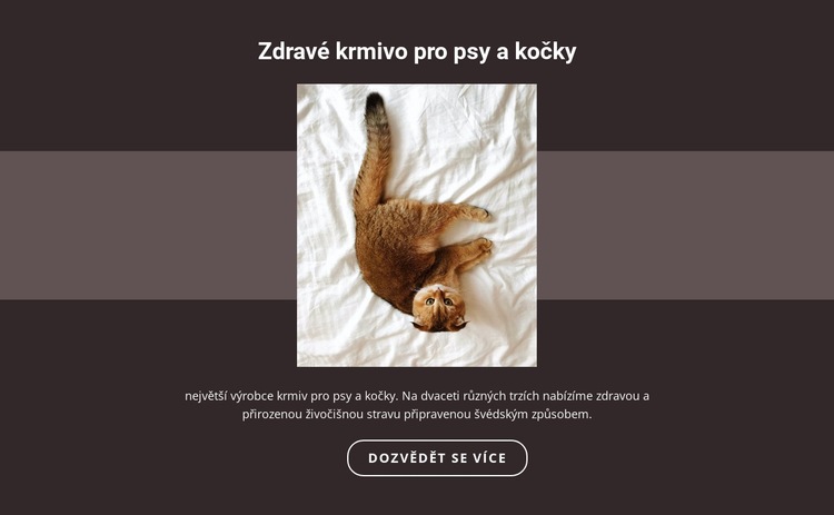 Rodokmenná zvířata Šablona CSS