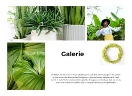 Grüne Pflanzengalerie Einzelseiten-Website