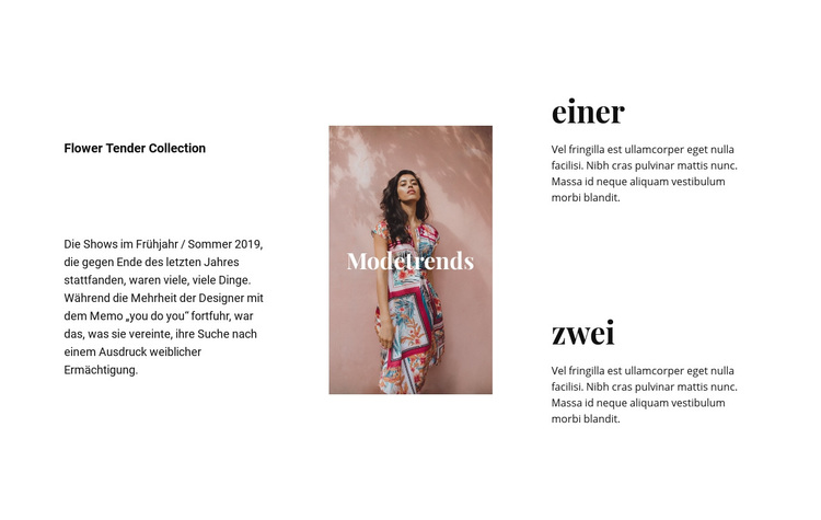 Kleider und Röcke WordPress-Theme