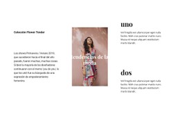 Vestidos Y Faldas Plantilla CSS