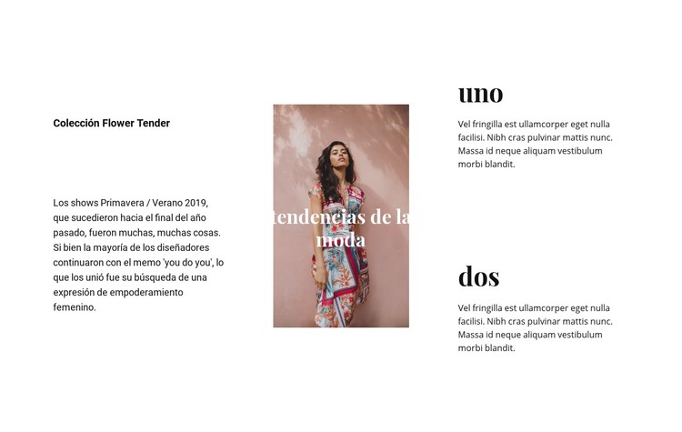 Vestidos y faldas Plantilla CSS