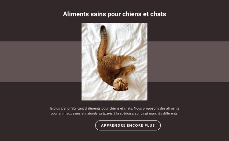 Animaux de race Conception de site Web