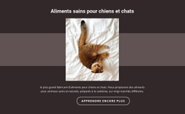 Animaux De Race – Outil De Création De Sites Web Facile À Utiliser