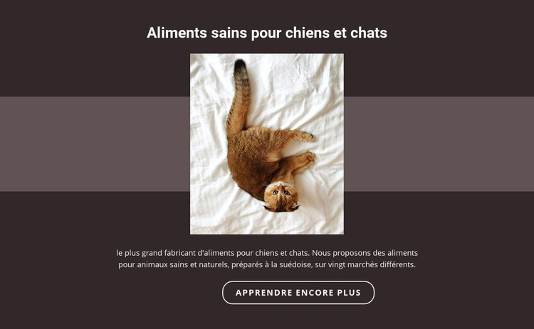 Animaux de race Modèle HTML