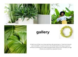 Green Plant Gallery - Free Css Theme