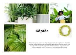 Zöld Növény Galéria Egyoldalas Webhely