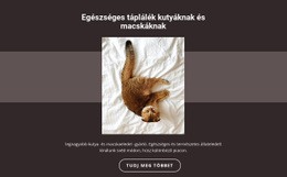 HTML Webhely A Következőhöz: Törzskönyvi Állatok