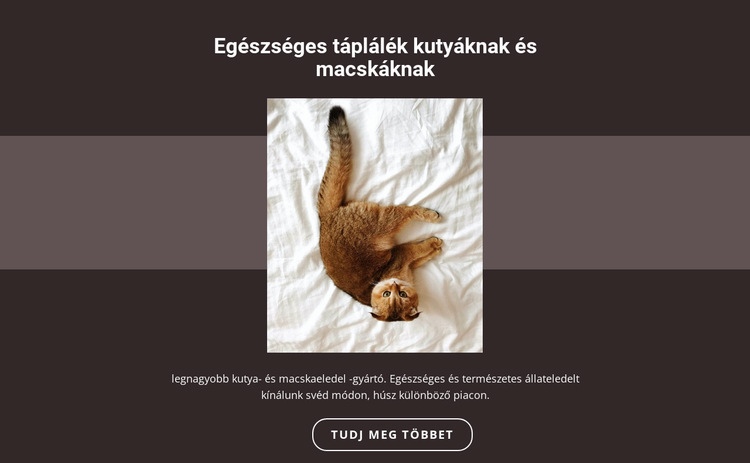 Törzskönyvi állatok HTML Sablon