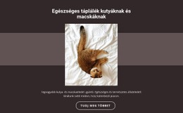 Törzskönyvi Állatok Sablon