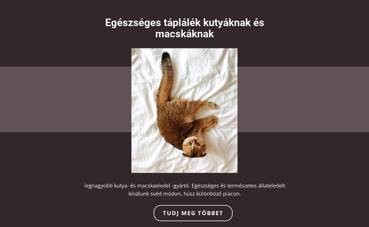 Törzskönyvi állatok Weboldal sablon