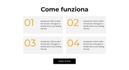 Passi Importanti Modello Di Modulo CSS