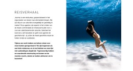 Ideale Duikplekken CSS-Rastersjabloon