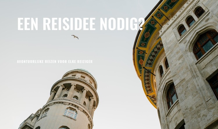 Een reisidee nodig Website mockup