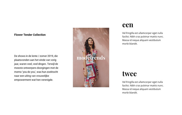 Jurken en rokken Website mockup