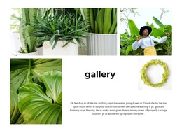 Green Plant Gallery Single Page Website