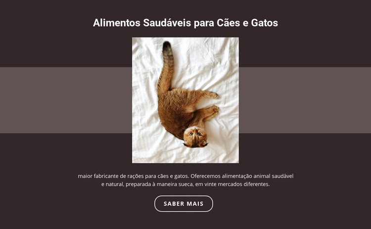 Animais com pedigree Maquete do site