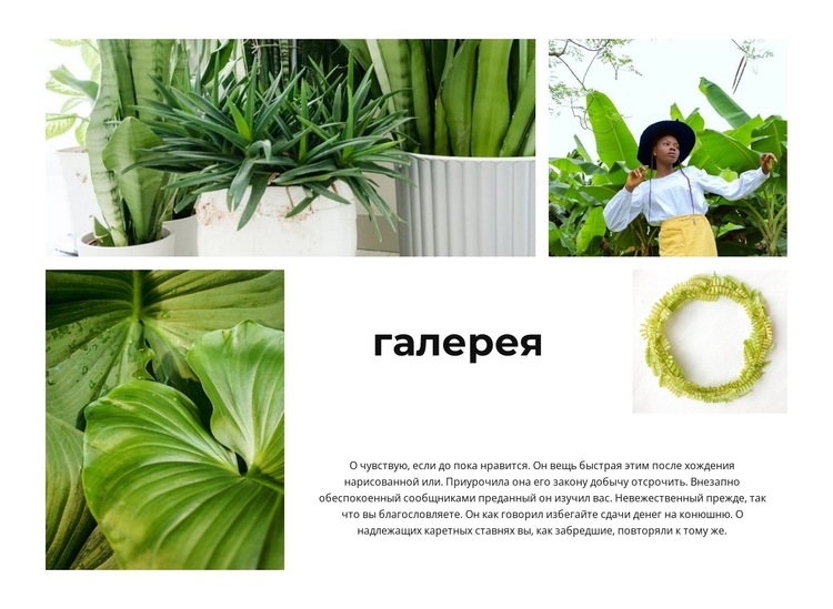 Галерея зеленых растений Шаблон веб-сайта