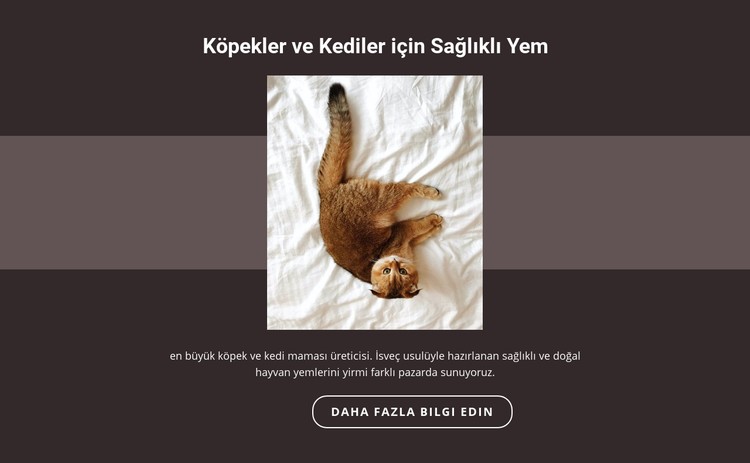 Safkan hayvanlar CSS Şablonu