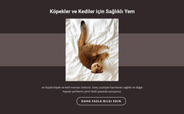 Safkan Hayvanlar Için HTML Web Sitesi