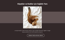 Safkan Hayvanlar Için HTML5 Teması