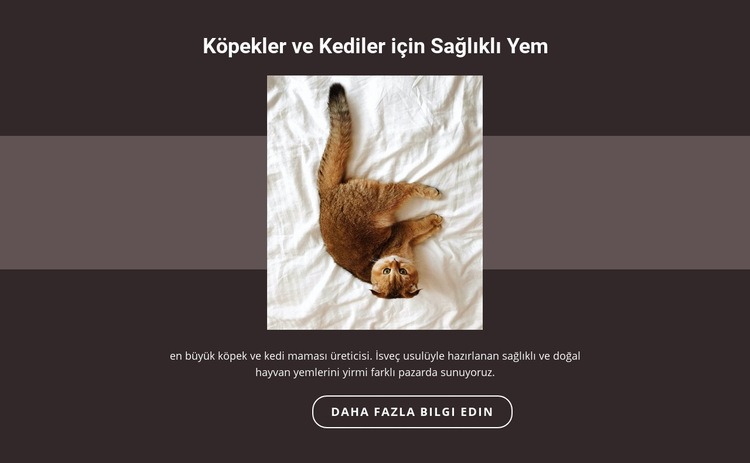 Safkan hayvanlar Web Sitesi Oluşturucu Şablonları