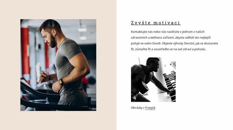 Zvyšte motivaci Téma WordPress