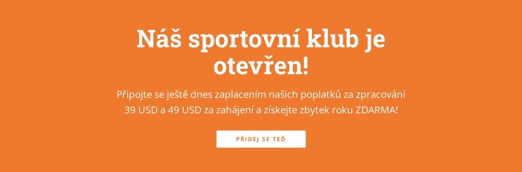 Text s nadpisem a tlačítkem Téma WordPress