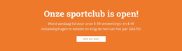 Multifunctioneel WordPress-Thema Voor Tekst Met Kop En Knop